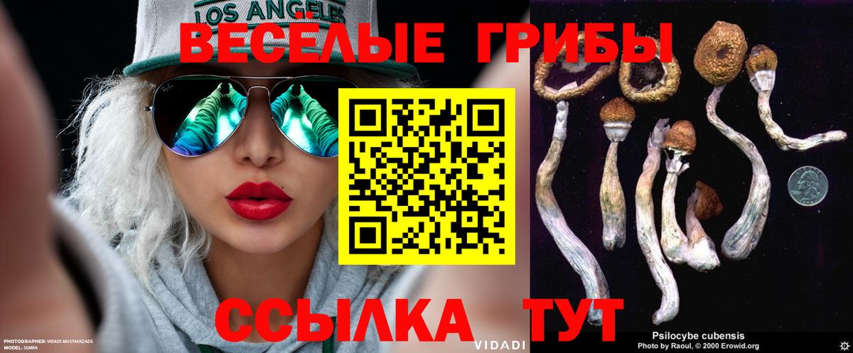 что такое наркотик  Псилоцибиновые грибы мицелий  Вход с VPN  Торжок 